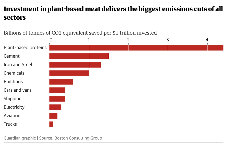 Investment in plant based meat