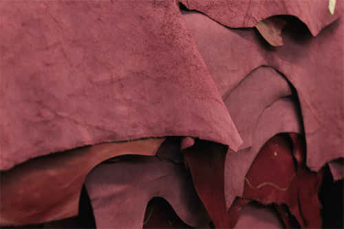 Bio Based Materials